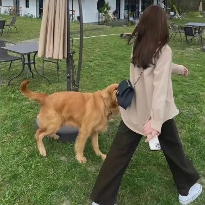 蛮力